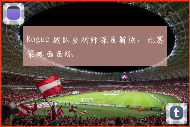 Rogue 战队分析师深度解读，比赛策略面面观