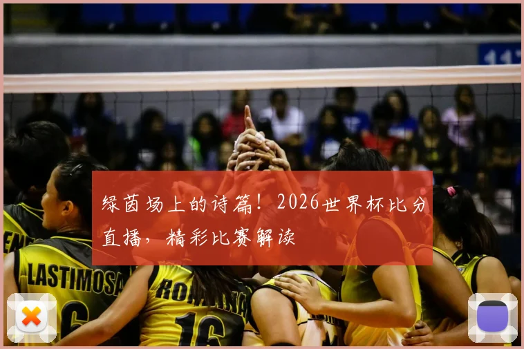 绿茵场上的诗篇！2026世界杯比分直播，精彩比赛解读